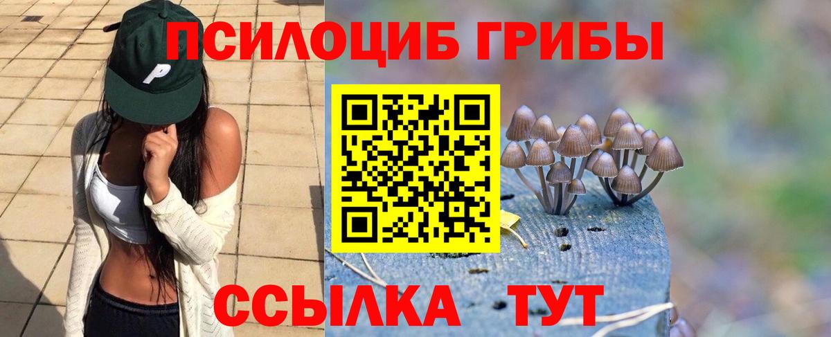 Сосновый Бор  Галлюциногенные грибы мухоморы  Вход с VPN 
